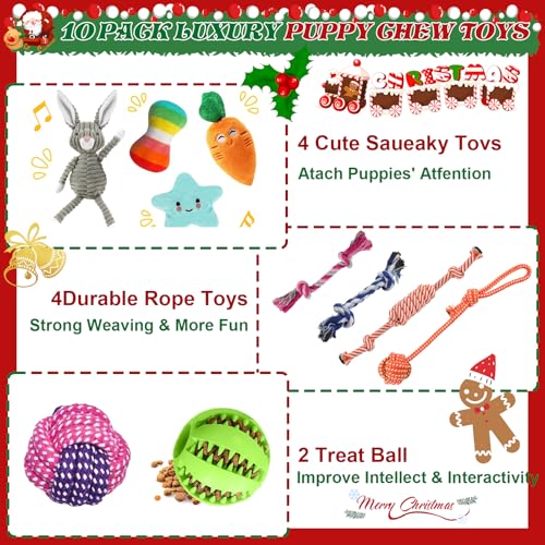 Kapetgo Hundespielzeug, Welpenspielzeug ab 8 Wochen, interaktives Seilspielzeug, unzerstörbar, robust, Kauspielzeug, Geschenk für kleine Hunde, 10 Stück (graues Kaninchen)
