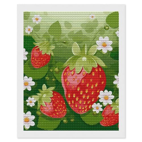 Kit peinture diamant 5D fraise cadeau créatif original pour anniversaire et passionnés DIY