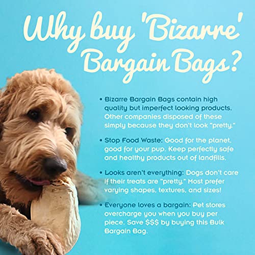 Pawstruck-Bizarre-Bargain-Bag-1-lb-Assorted-Natural-Dog-Treats-Long-Lasting-Chews-for-All-Breeds-Animal-Ears-Bones-Jerkies-for-Pups-and-Senior-Dogs-Rawhide-Alternative-for-Aggressive-Chewers