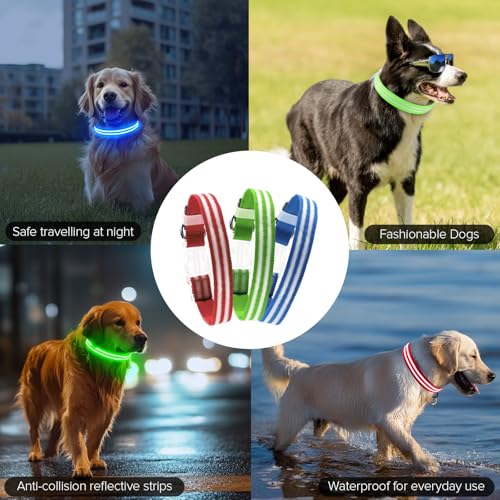 Feycig Leuchthalsband Hund USB Aufladbar - LED Hundehalsband Leuchtend Wasserdicht Leuchtendes Hunde Halsband Einstellbare für Kleine Mittlere Große Hunde, 3 Modi