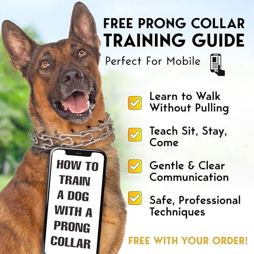 Image of Adjustable No Pull Dog Traning Collar with Buckle for Small Medium Large Dogs (Packed with Extra Links)