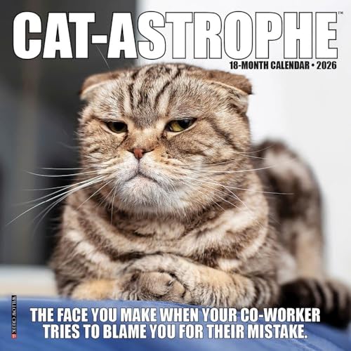 Willow Creek Press, Cat Astrophe 2026 Mini Wall Calendar, 7'' X 7'', 18-Month Calendar with Stapled Binding