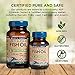 Wild Alaskan Omega-3 Fish Oil - Easy Swallow Minis 2X Double Strength 630mg EPA + DHA Natural Supplement 120 Mini Softgels
