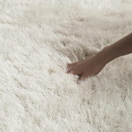 Image of Plush Shag Area Rug for Living Room, 244 cm x 305 cm, Brown (Ivory, 4X4 FEET)