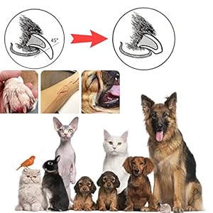   3Pcs-Dog-Nail-Grinder-Replacement-Pet-Nail-Grider-Polisher-Wheel-Head-Professional-Spare-Grinding-Head-for-Dog-Cat-Pet-Toenail-Paws-Electric-Claw-Trimmer-Nail-Smoothing-Grooming-Tool