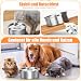 1L Wassernapf Hund Ohne Sabbern Edelstahl, Wassernapf Ohne Sabbern, Schwimmender Spender, Hund Mit Rutschfestem Boden, Leak-Proof Feeder für Welpen und Kätzchen Gesundes Trinkennken