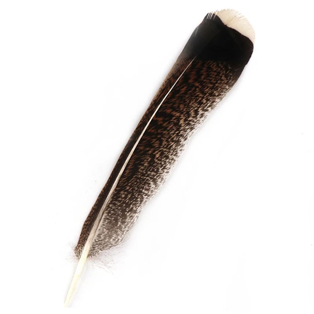 Naturalne pióra bażanta, Zestaw piór orła i indyka, 10 sztuk, naturalny, 25-30 cm