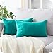 Topfinel Juego 2 Hogar Fundas Cojines Algodón Lino Decorativa Chenilla Almohadas Fundas de Color sólido para Sala de Estar sofás Dormitorio Jardín Coche 30x50cm Azul Turquesa