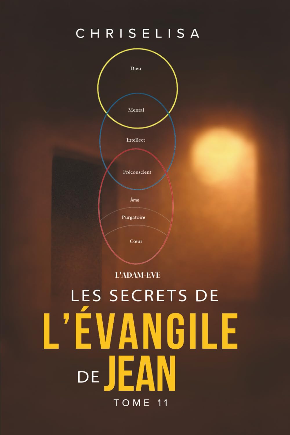 LES SECRETS DE L'ÉVANGILE DE JEAN TOME 11