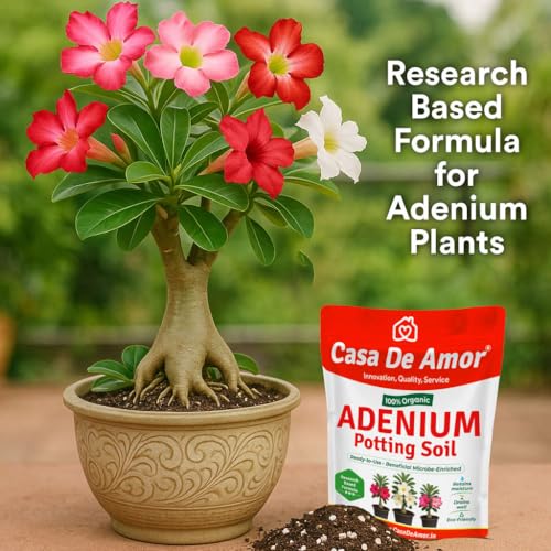 Image of Casa De Amor Organic Adenium & Desert Rose Potting Soil - Ready-to-Use, Microbe-Enriched Formula for Superior Drainage, Moisture Retention & Healthy Growth (5 KG)