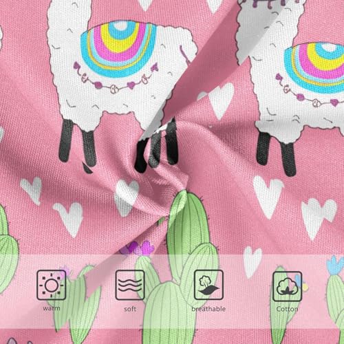 Cute Llama Alpaca Cactus Toddler Girls's Underwear 2T 202c12933