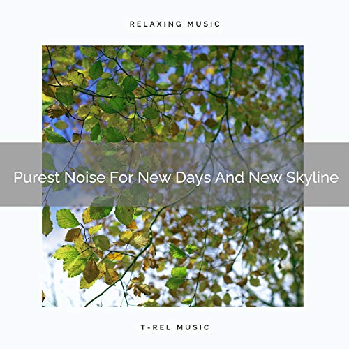 Purest Noise For New Days And Easy Morning