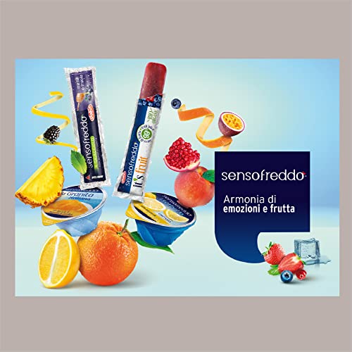 Lucgel Srl 12 Pezzi da 100 Ml Sorbetto Cremoso