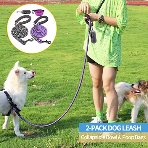 BAAPET 2 Packs 5/6 FT Dog Leash with Comfortable Padded Handle and Highly Reflective Threads Dog Leashes for Small… - Image 6