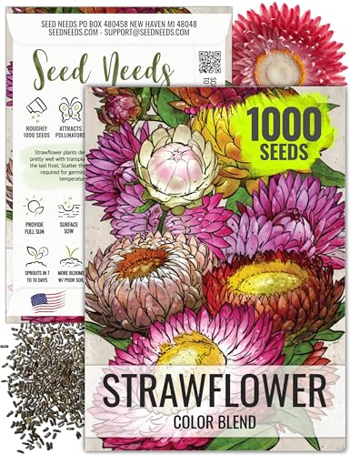 Seed Needs Strawflower Seeds for Planting Mixed Annual Cut Flowers 1 Pack