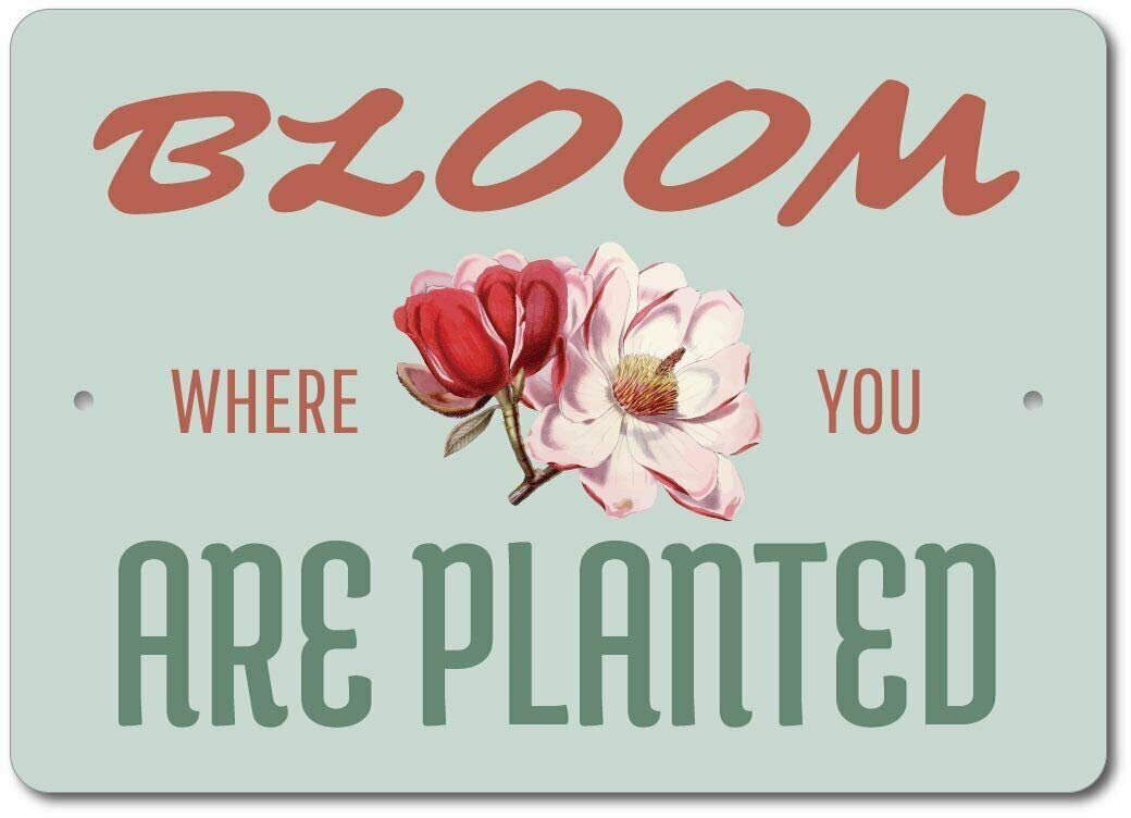 Bloom Where You Are Planted Sign Flower Decor Flower Garden Sign Tin Sign 8x12 inch