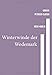 Winterwinde der Wedemark: Eine Geschichte über Verlust, Hoffnung und die Kraft neuer Begegnungen