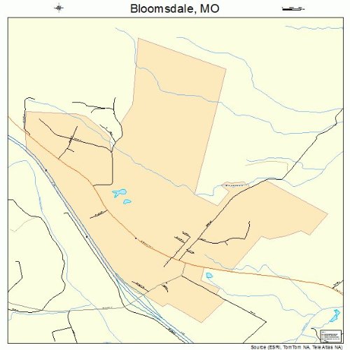 Large Street & Road Map of Bloomsdale, Missouri MO Printed poster