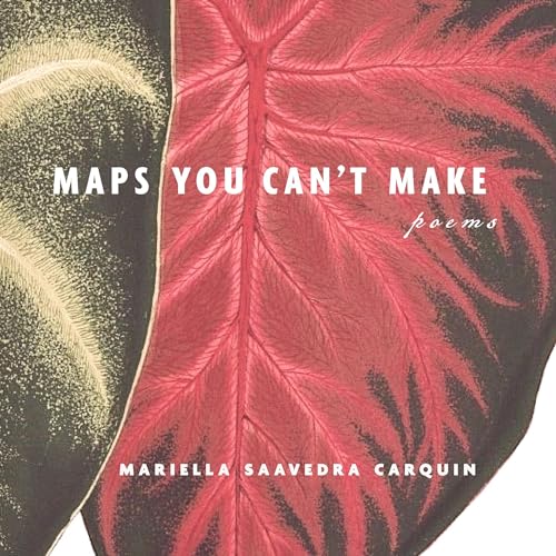 Maps You Can&amp;rsquo;t Make by Mariella Saavedra Carquin episode artwork