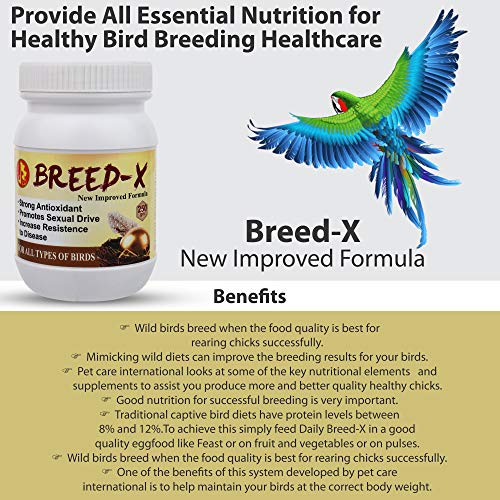 Image of Pet Care International (PCI) Breed-X || Provide All Essential Nutrition || Healthy Bird Breeding Healthcare (250 Grm, Breed X), All Life Stages, Pellet