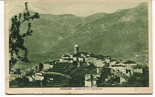 Primi '900 Pedona Dintorni di Camaiore destinazione Varese FP B/N Cartolina Postale