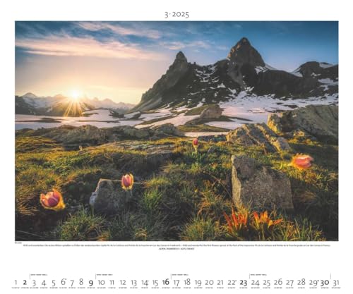 PALAZZI - Landschaft im Licht 2025 Wandkalender, 60x50cm, Posterkalender mit malerische Landschaftsfotografie, hochwertige Naturbilder, eine Reise ... int. Kalendarium: Light on the Land