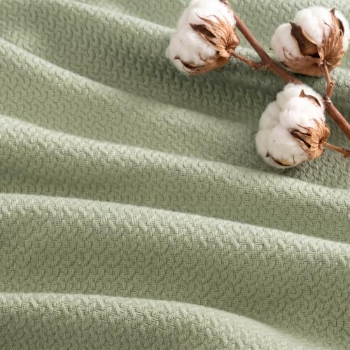 Image of Madison Park 100% Egyptian Cotton Summer Blanket Full Queen Size, Green