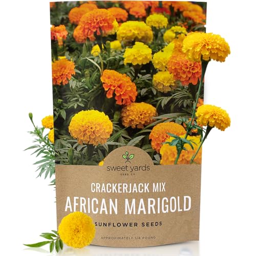 African Marigold Seeds Crackerjack Mix - Bulk 1/4 Pound Bag - Over 40 000 Seeds - Huge Orange and Yellow Blooms