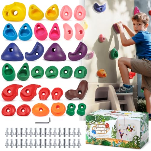 TOPNEW 32 Rock Climbing Holds Multi Size for Kids, Adult Rock...