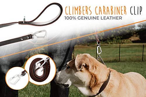 Mighty Paw LEATHER DOG LEASH For Large Dogs - Soft Padded Handle - Extra D-Ring For Waste Bags - Strong Climbers Clip - 6 Ft Leash Leather - Leather Dog Leashes thumb #1