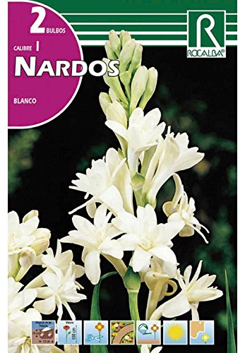 BULBO NARDO BLANCO - 2 UD.