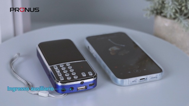 Radio Portatile PRUNUS J-189 FM/Bluetooth - Ricaricabile, Torcia LED, Supporto USB/TF/AUX, Nero - Foto 4