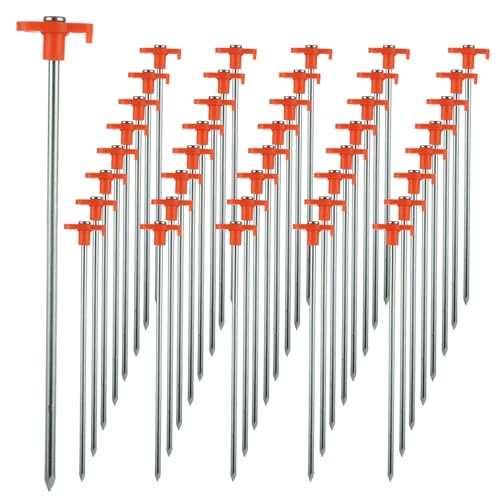 LOYORTY 40PCS 10 Inch Heavy Duty Tent Stakes, Metal Tent Pegs, Galvanized Non-Rust Tent Stakes for Outdoor Camping, Garden, Canopies, Grassland