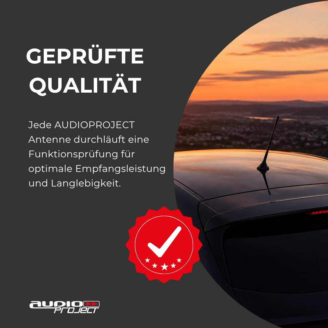 Audioproject A281 - Antenna-per-autoradio 24cm Raku2 + amplificatore fm compatibile per: Toyota Aygo Opel Corsa Fiat Panda Suzuki Peugeot Cooper adapter universe antenna auto corta accessori