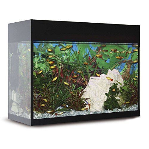 ICA KXI25N Kit Aqualux con Filtro Interior, Negro