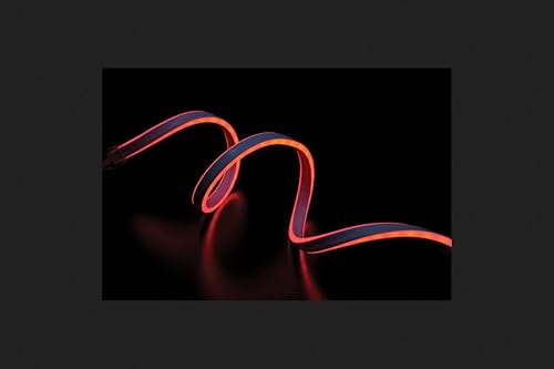 Neo-Neon Cuerda de luces LED de tubo flexible rojo de 16 pies 60 luces