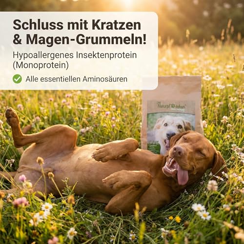 Naturpfötchen Umweltbewusst & Vital 5kg Insektenprotein Hypoallergenes Hundefutter Kaltgepresst & Getreidefre Markus Mühle Nachhaltiges Trockenfutter für Sensible Hunde Aller Rassen Natürlich(1x5kg)