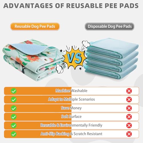 Image of KOOLTAIL Washable Pee Pads for Dogs, 2 Pack Spring Pet Mats Outdoor Picnic Camping, Super Absorbent Reusable Puppy Training Pads Waterproof, Nonslip and Leak-Proof Dog Pee Pads for Floor, Car, 24 inch*36 inch