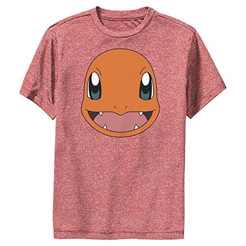 Pokemon Char Filled Head Boys Short Sleeve Tee Shirt Red Heather