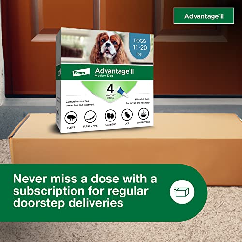 Advantage Ii Medium Dog Vet-Recommended Flea Treatment & Prevention | Dogs 11-20 Lbs. | 4-Month Supply #TOP7