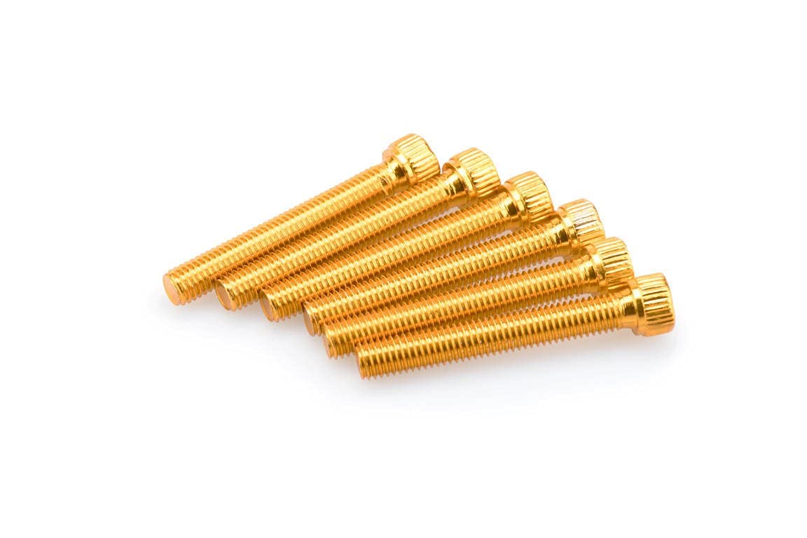 Puig 0540 G Blister 6 Screws, M8, 55 mm, Gold