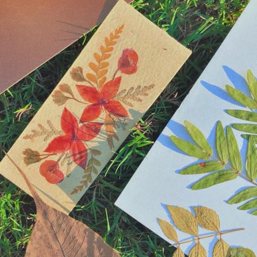 Image of DIY Art and Craft Gift Kit: Dried Press Flower Arrangement Hobby Craft Kit,, Multicolor