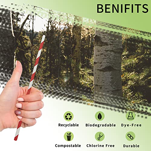 Biodegradable Red Striped Straws Bulk 100, Disposable Red and White Coca Cola Party Paper Straws for Cocktail, Milkshake, Coffee, Lemonade