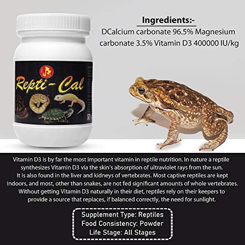 Image of Pet Care International (PCI) Repti-Cal || Provide Essential Calcium & Vitamin D3 || Healthy Reptile and Amphibians Healthcare (250 Grm, Repti Cal)