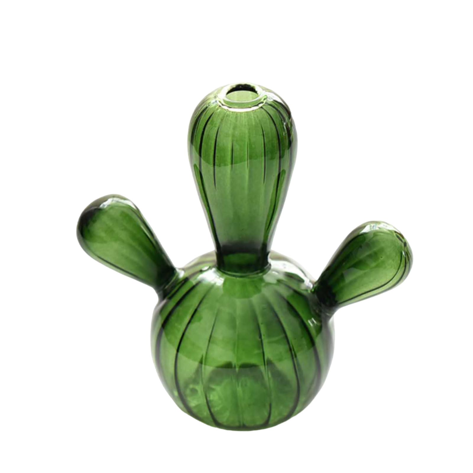 BOLOUY Cactus Glass Vase Hydroponics Plant Flowerpots Livingrooms Decorations Pen Bottle Flower Arrangement Home Decors