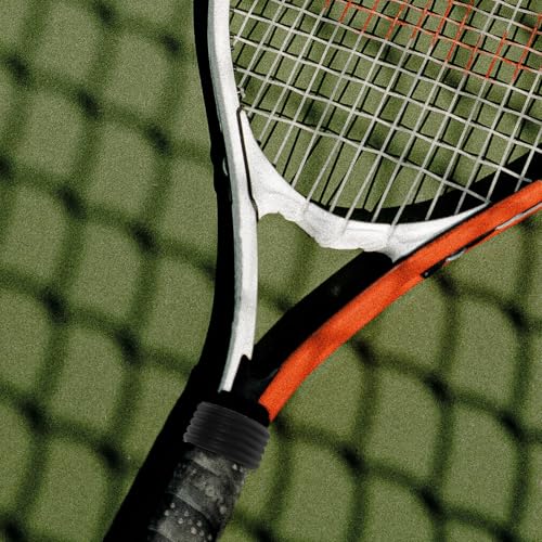 OSALADI ejXPbgObvoh VR LkObvO ~ߌŒ oh~gPbgی 8