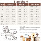 Idepet Haustier Hund Warm Mantel Jacke wasserdichte Kleidung Kleine mittlere große Haustier Hund Katze Bekleidung Bekleidung Frühling Herbst Winter