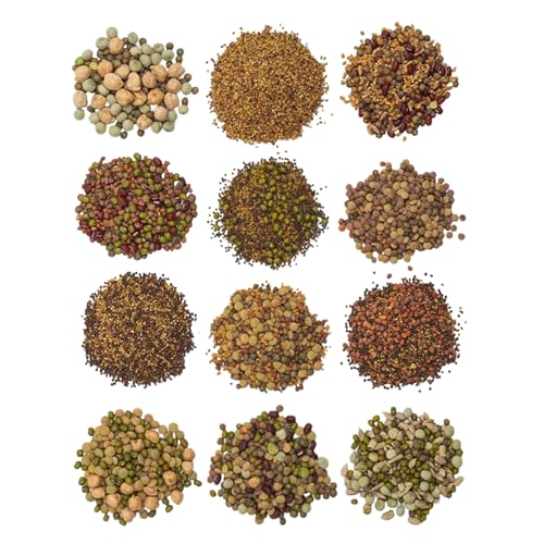 The Sprout House Assorted Mix Sprouting Seeds - Grow Fresh Sprouts & Bean Sprouts at Home, Organic, Non-GMO, Nutrient-Packed for Salads, Sandwich & Smoothies, Premium 12 Pack | 2 oz Each - Thumbnail 2