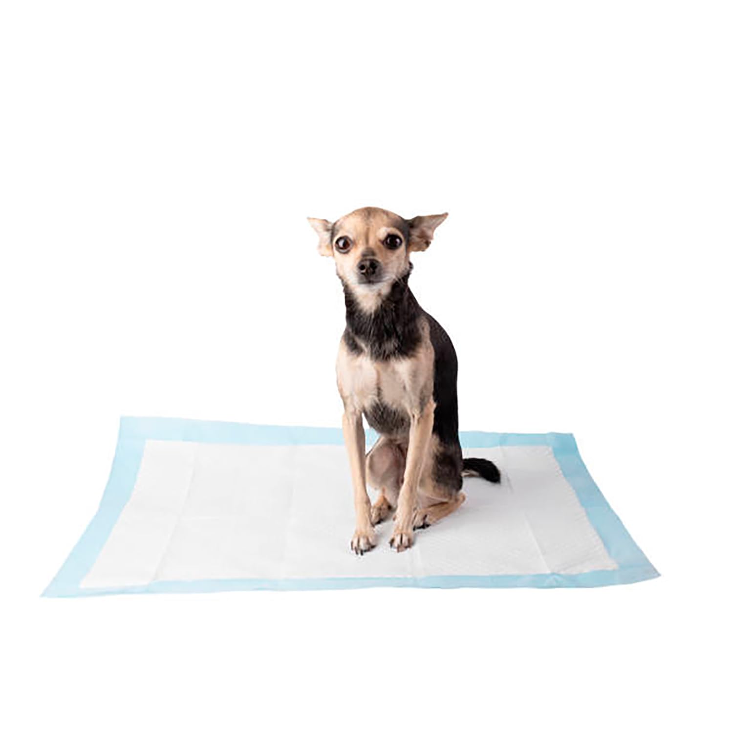 Empapadores para Perros. Pack 48 Alfombras Absorbentes, Antideslizantes para Mascotas. Empapador para Mascotas, Alfombrilla Higiénica de Entrenamiento (60x90cm 48 Uds)