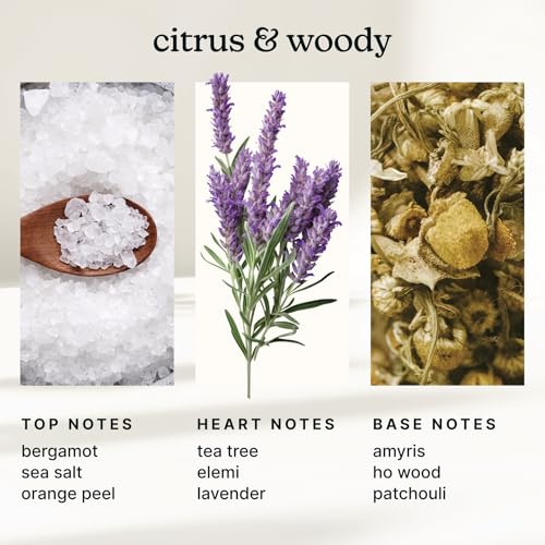 Homedics Aceite Aromático White Sage & Moss 15ml miniatura 4